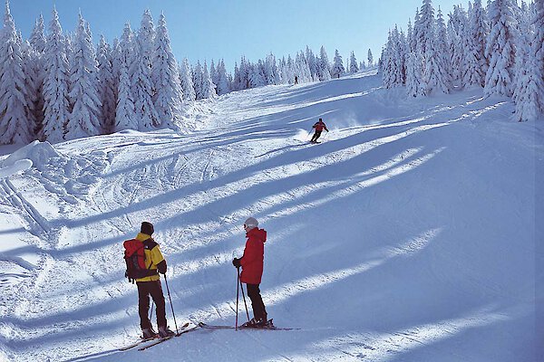 Skifahren Bayerischer Wald
